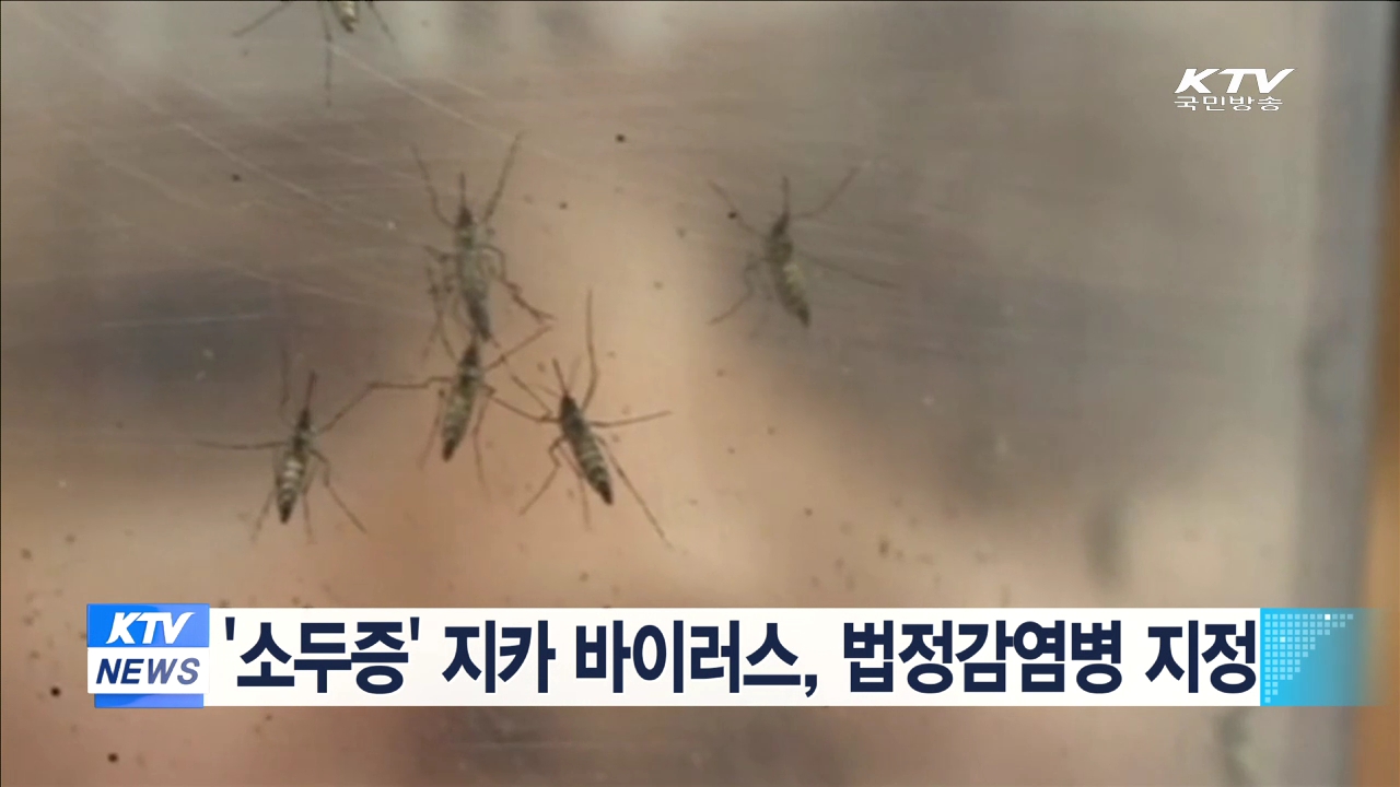 '소두증' 지카 바이러스, 법정감염병 지정