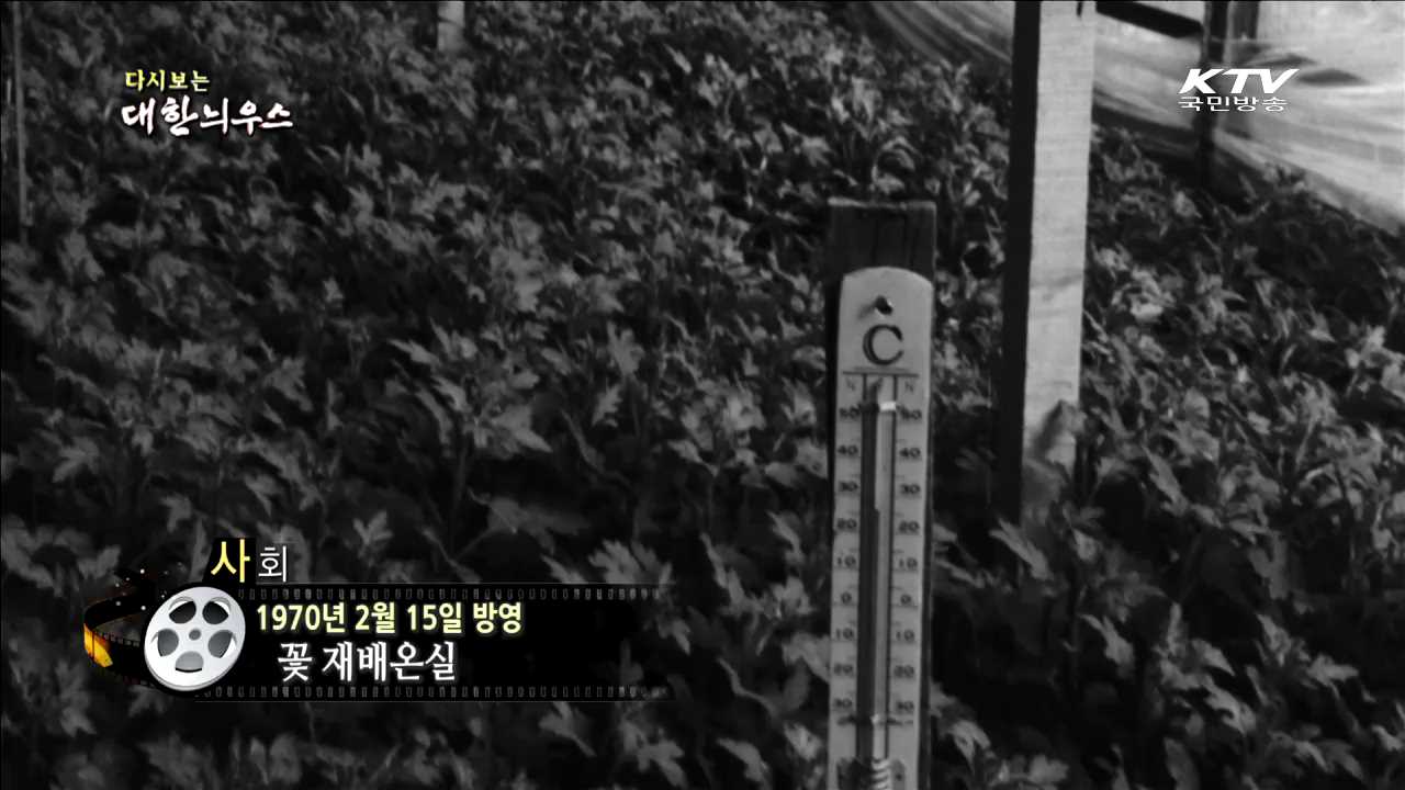 다시보는 대한늬우스 (70.02.15)