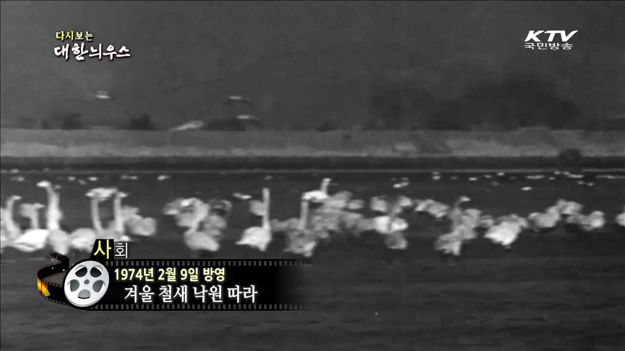 다시보는 대한늬우스 (74.02.09)