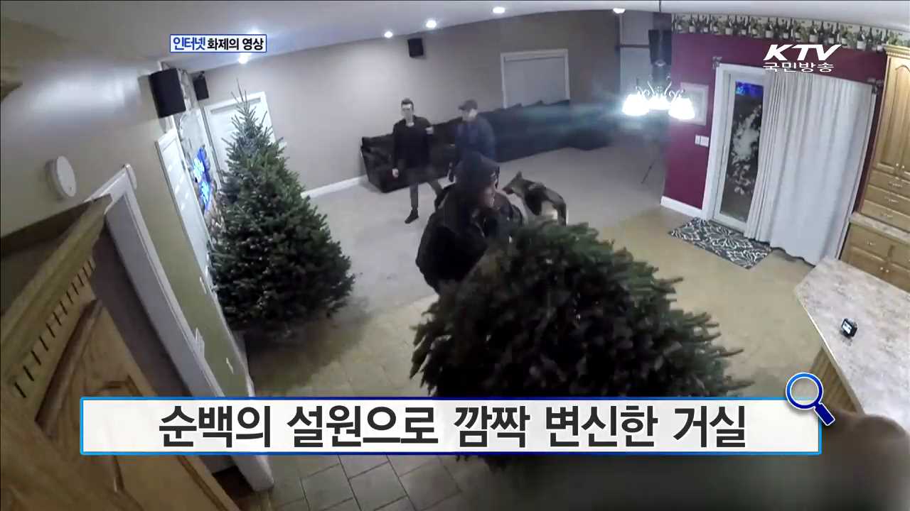 순백의 설원으로 깜짝 변신한 거실 [인터넷 화제의 영상]