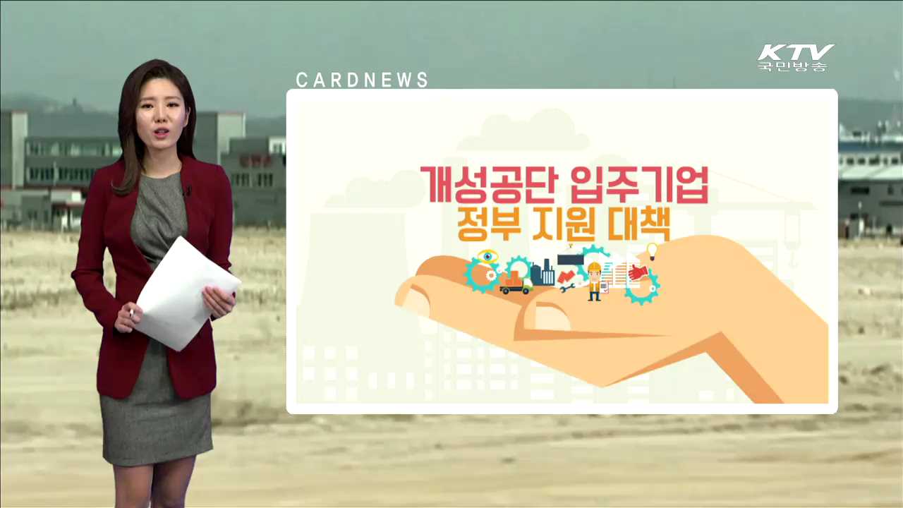 개성공단 입주기업 정부 지원 대책 [카드뉴스]
