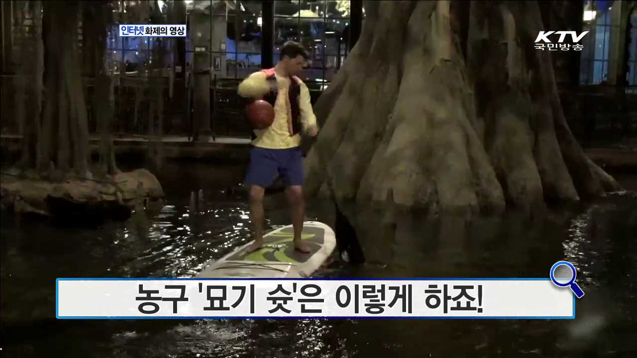 농구 '묘기 슛'은 이렇게 하죠! [인터넷 화제의 영상]