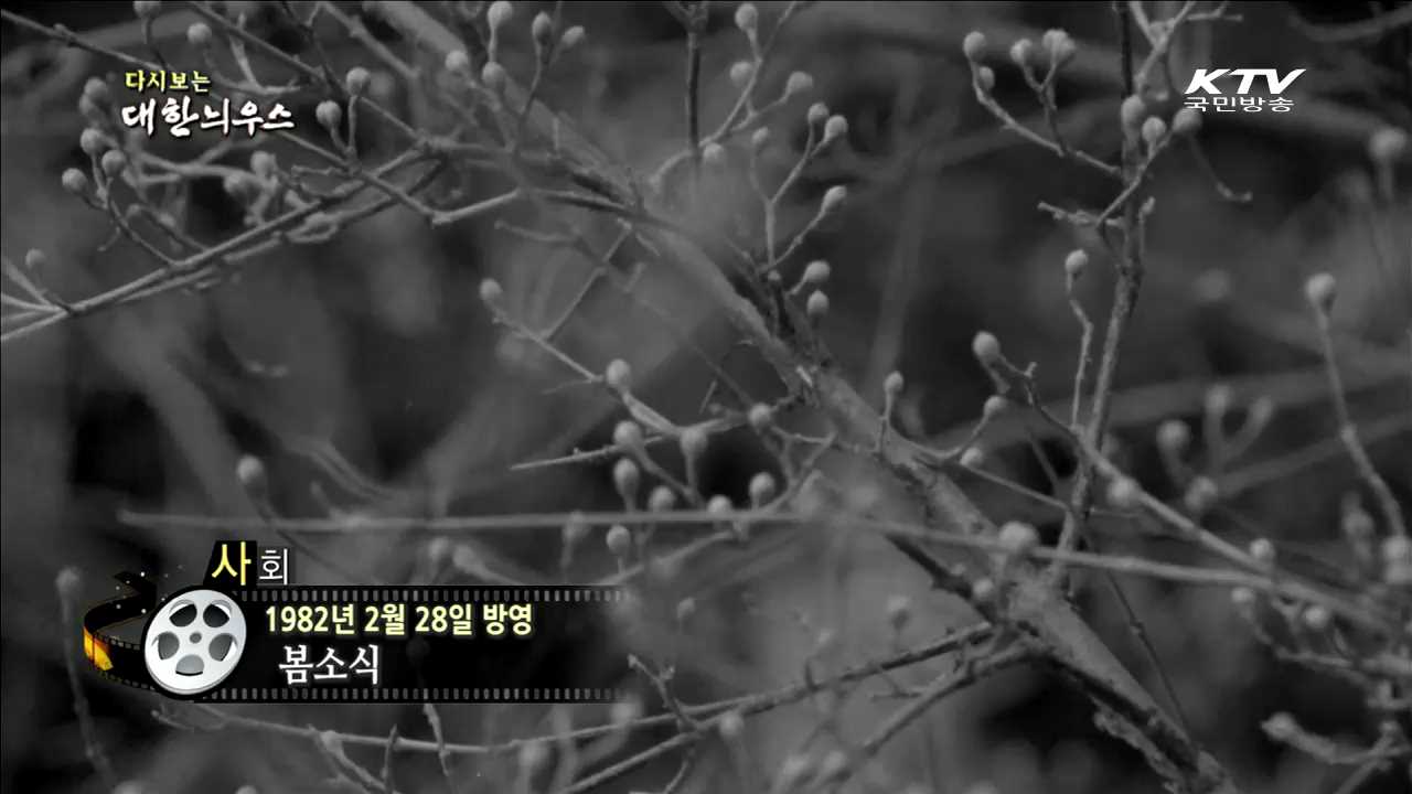 다시보는 대한늬우스 (82.02.28)