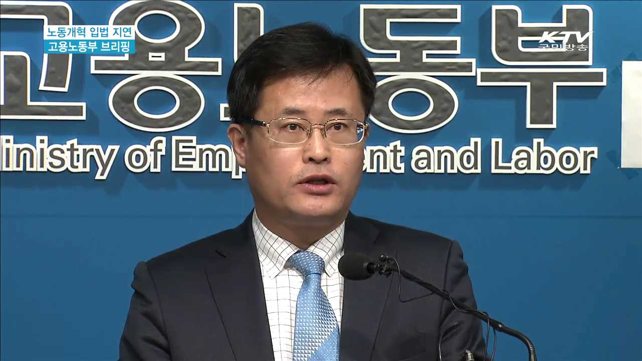 노동개혁 입법 지연 고용노동부 브리핑