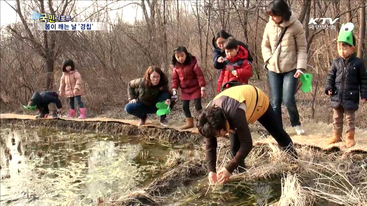 봄이 깨는 ‘경칩’…뭘 할까?