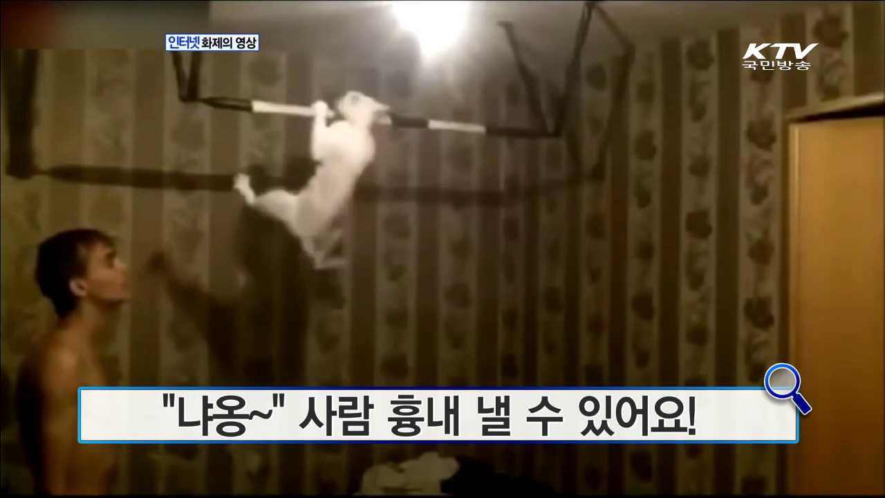  "냐옹~" 사람 흉내 낼 수 있어요! [화제의 영상]