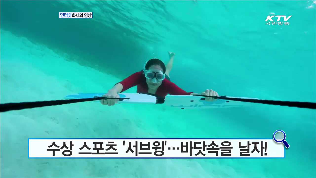 송풍기로 당구 대결! [화제의 영상]