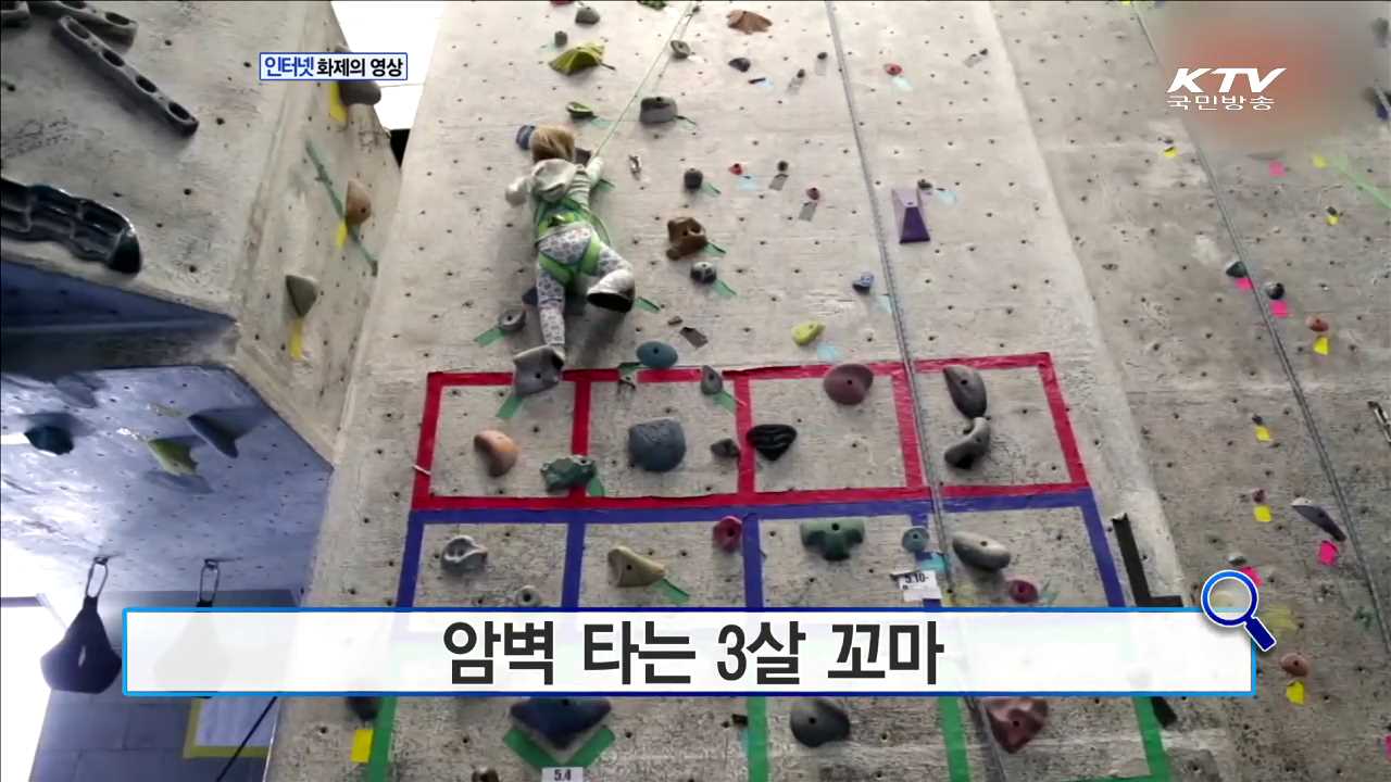 햄버거는 영원하다? [화제의 영상]