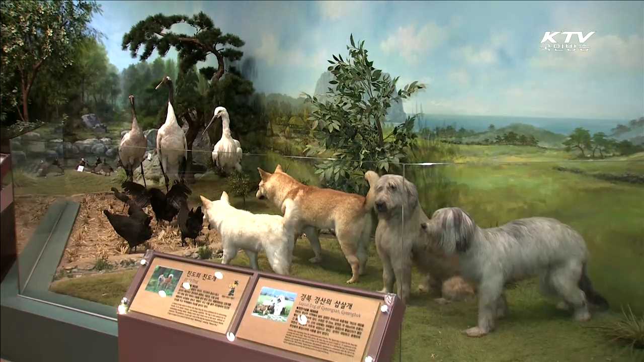 천연기념물센터…희귀 동식물 무료 전시