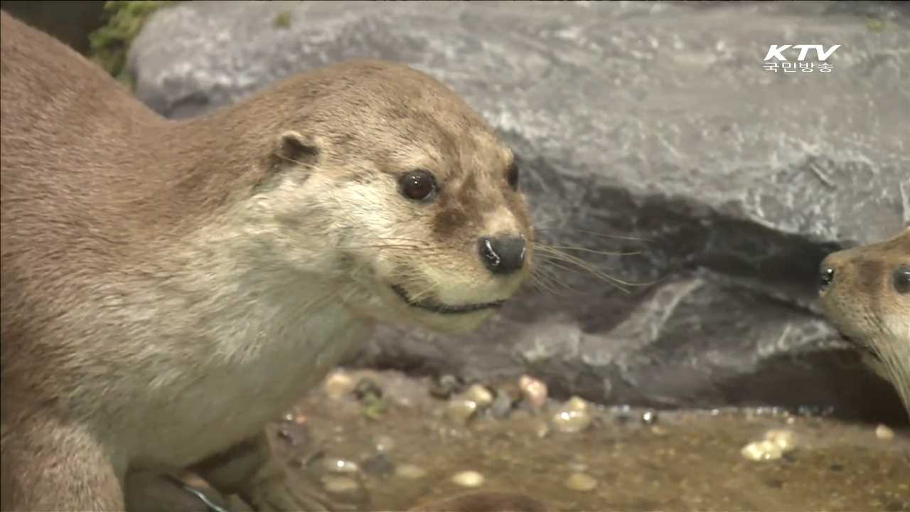 천연기념물센터…희귀 동식물 무료 전시