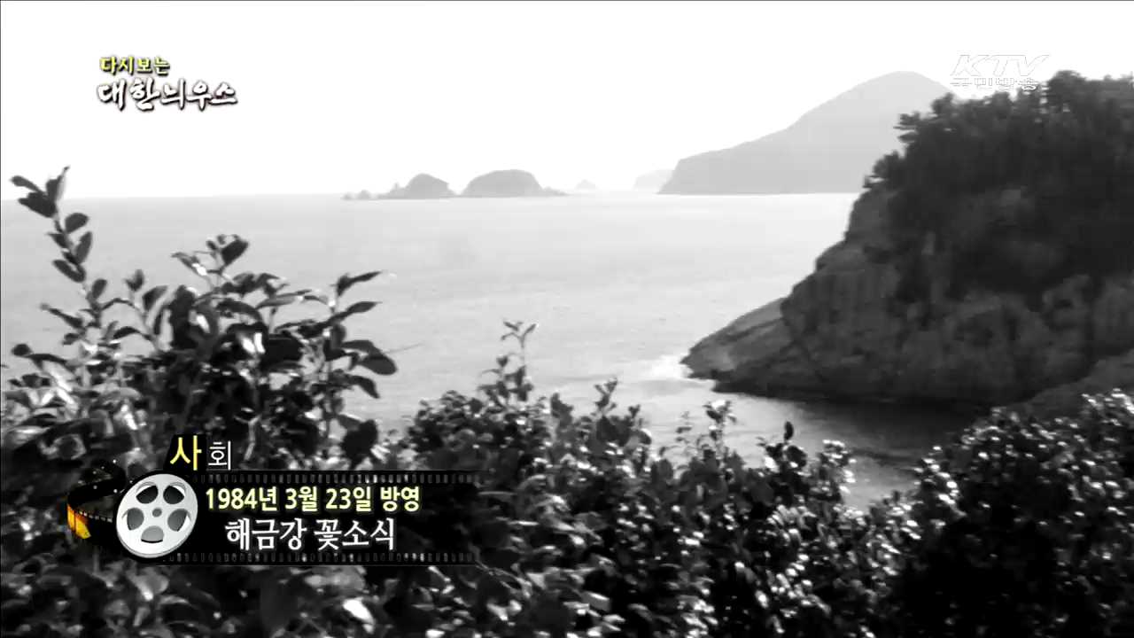 다시보는 대한늬우스 (84.03.23)