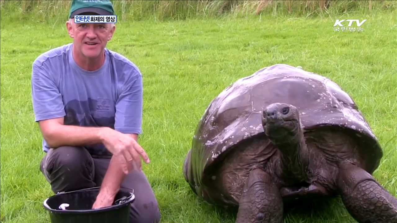 알라딘과 자스민이 현실로! [화제의 영상]