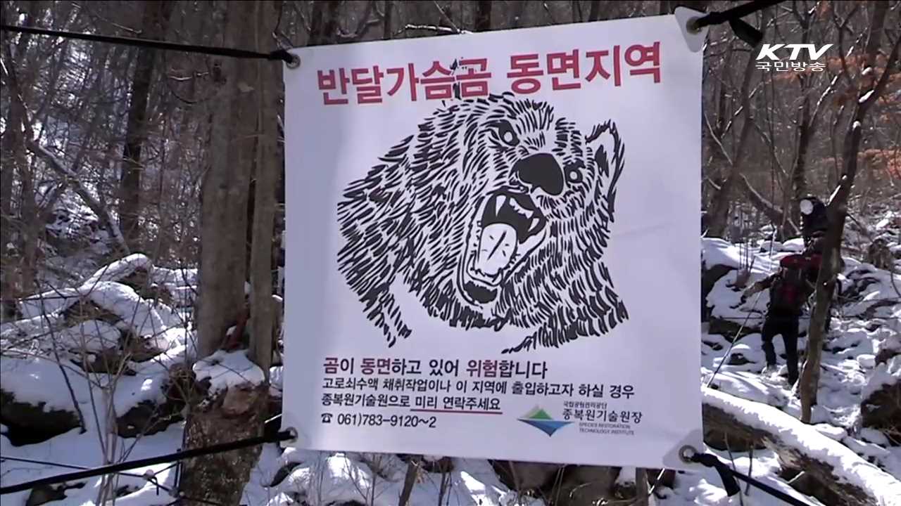 지리산 반달가슴곰, 새끼 5마리 출산