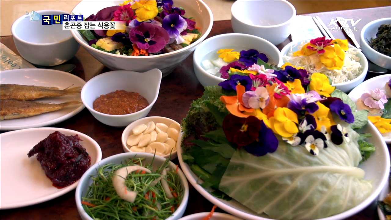 봄 향기 가득 식용꽃…춘곤증 예방에 좋다