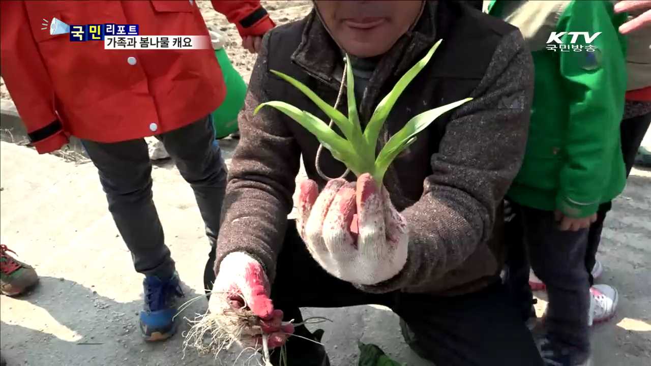 온 가족과 함께 봄나물 캐러 가요