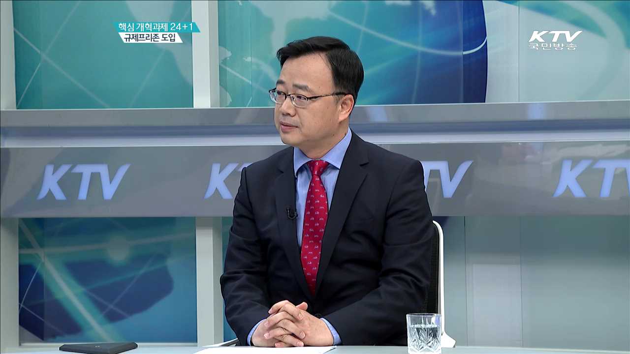 핵심 개혁과제 24+1 규제프리존 도입