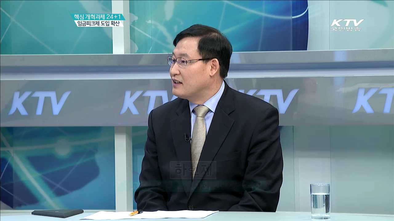 핵심 개혁과제 24+1 임금피크제 도입 확산