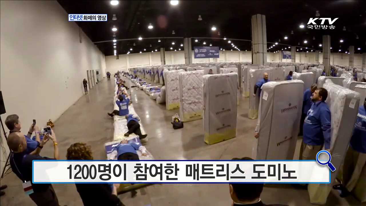 1200명이 참여한 매트리스 도미노 [화제의 영상]