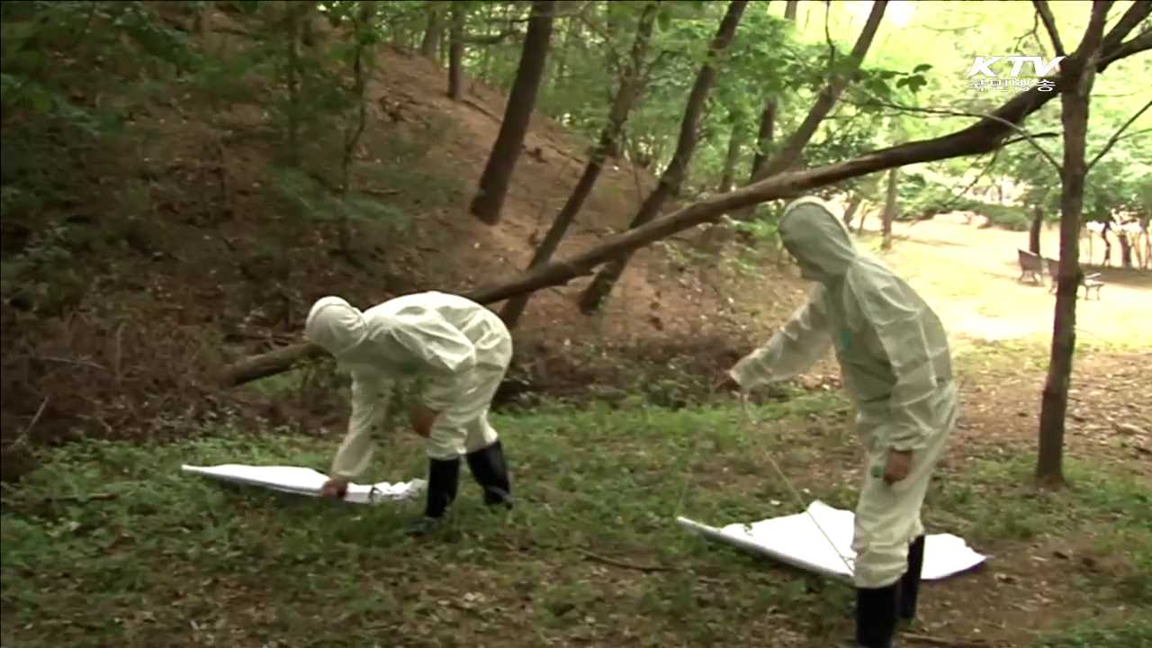 야생진드기 '주의'…풀밭에 눕지 마세요