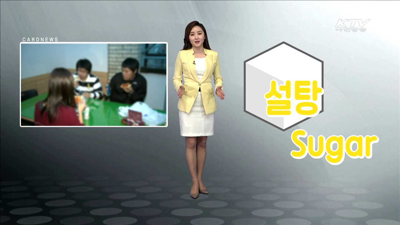 설탕 Sugar [카드뉴스]
