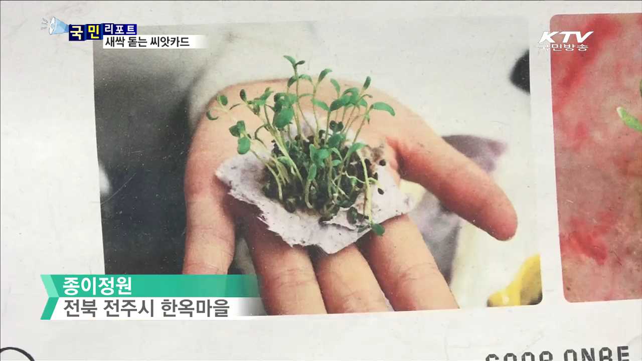 물 뿌리면 새싹 돋는 씨앗카드 '눈길'