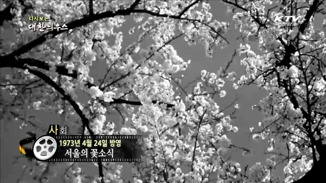 다시보는 대한늬우스 (73.04.24)