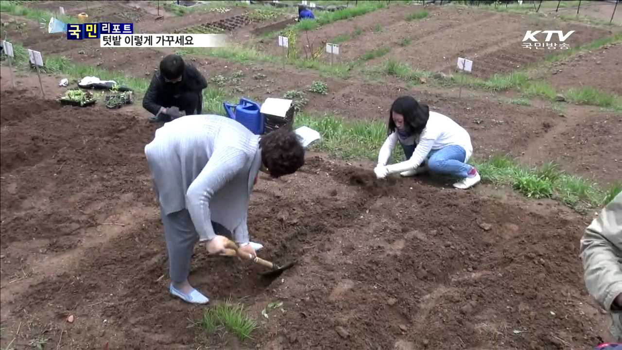 기능성 도시 텃밭  "이렇게 가꾸세요“