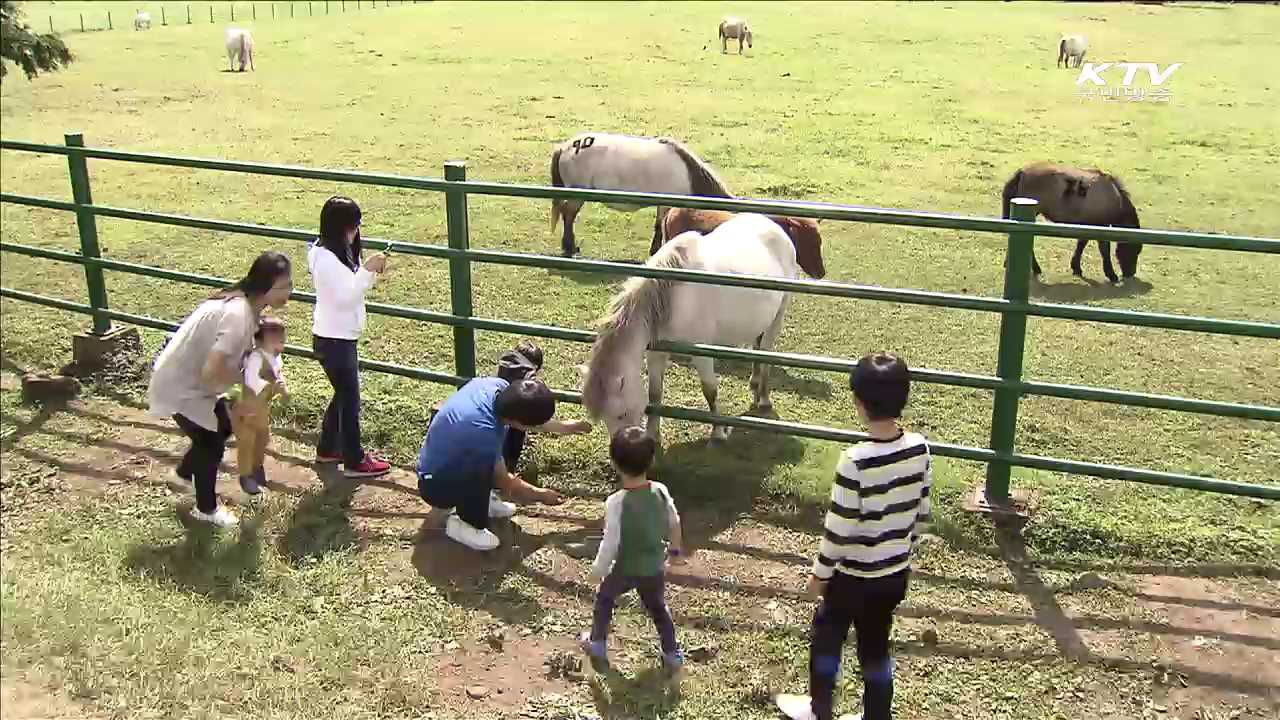 '2016 봄 여행주간'…알뜰여행 코스는?
