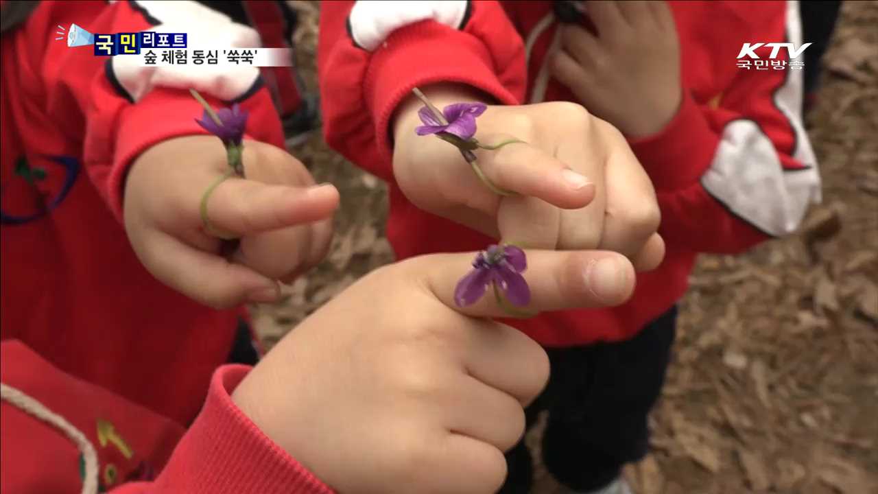 자연에서 스스로 배워요…숲체험어린이집