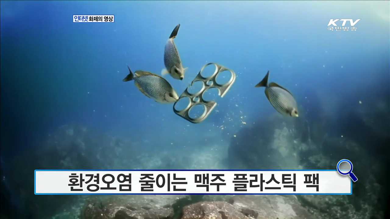 환경오염 줄이는 맥주 플라스틱 팩 [화제의 영상]