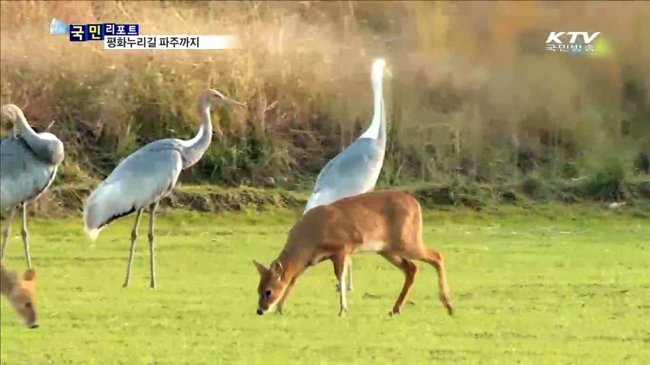 한강변 평화누리길 파주까지 열렸다