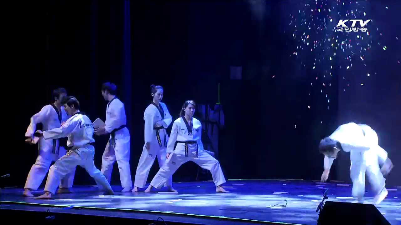 다양한 문화행사로 아프리카 대륙에 '한류 확산'