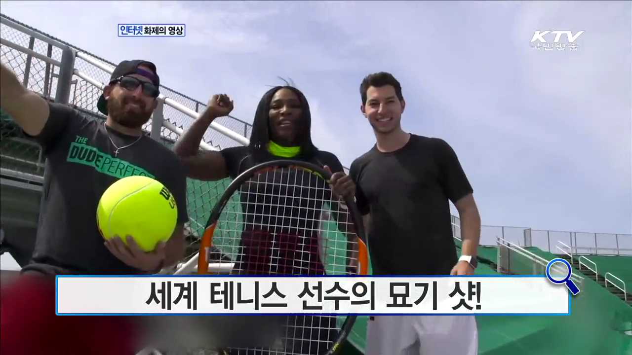 세계 테니스 선수의 묘기 샷! [화제의 영상]