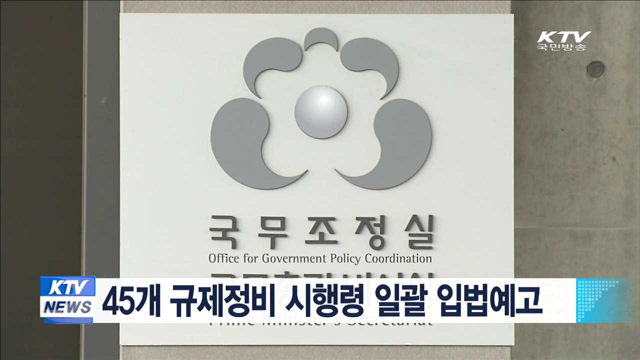 45개 규제정비 시행령 일괄 입법예고