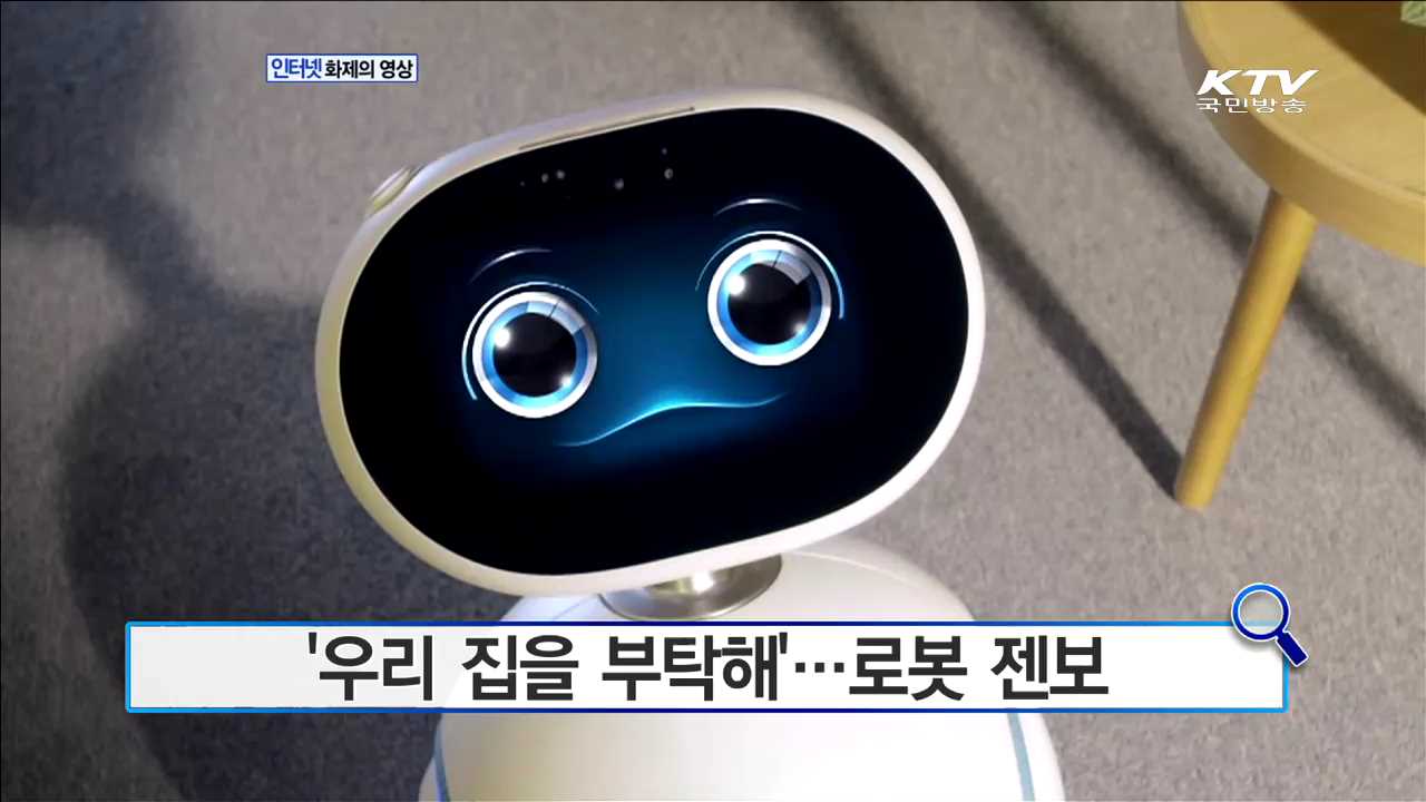 '우리 집을 부탁해'...로봇 젠보 [화제의 영상]