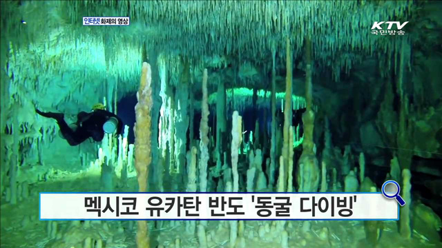 멕시코 유카탄 반도 '동굴 다이빙' [화제의 영상]