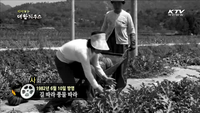 다시보는 대한늬우스 (82.06.10)