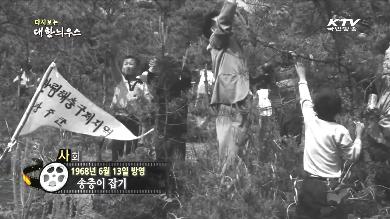 다시보는 대한늬우스 (68.06.13)