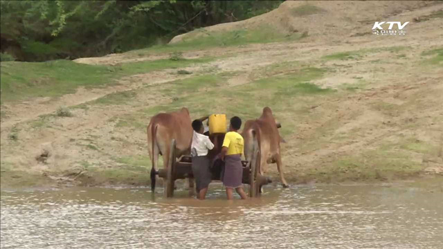 미얀마 황무지에 심는 '생명의 나무'
