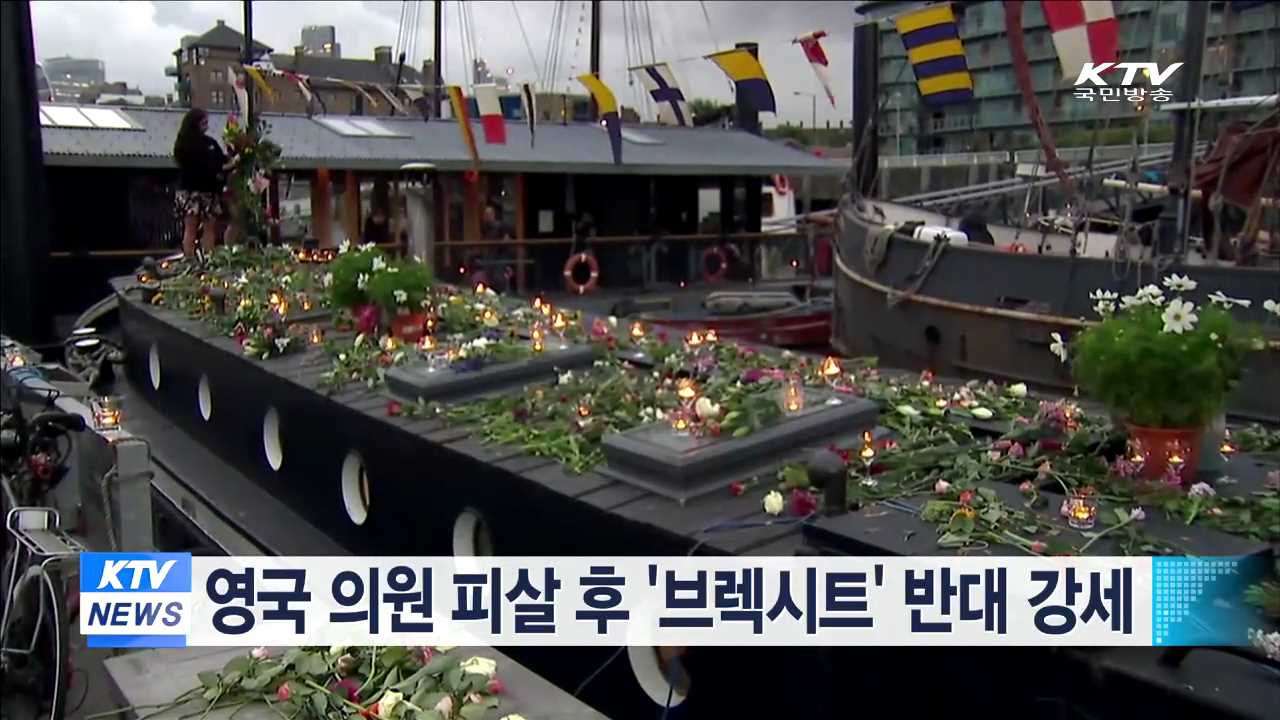 영국 의원 피살 후 '브렉시트' 반대 강세