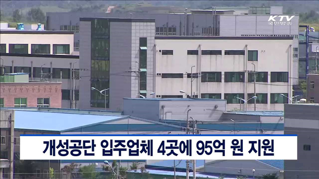 개성공단 입주업체 4곳에 95억원 지원