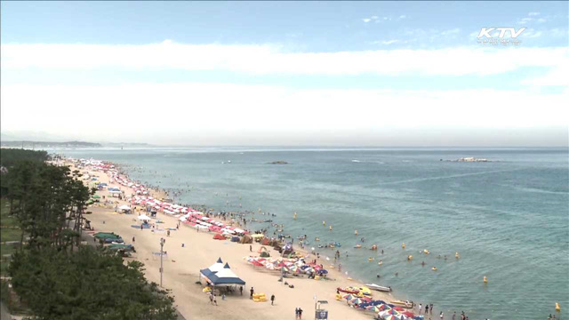 청정 해수욕장 20선… "피서 떠나요"