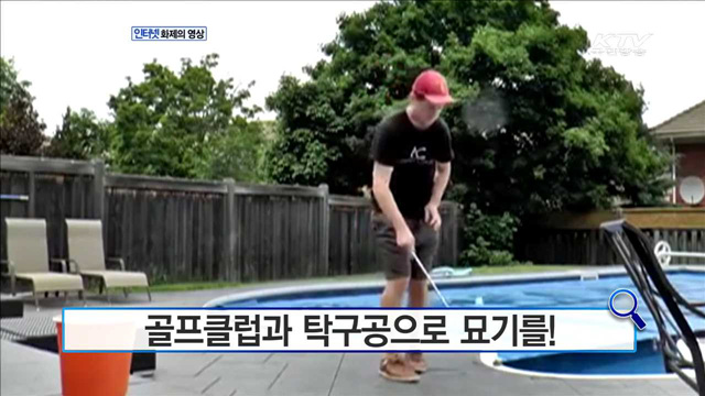 보트가 만든 파도…'웨이크 서핑' [화제의 영상]