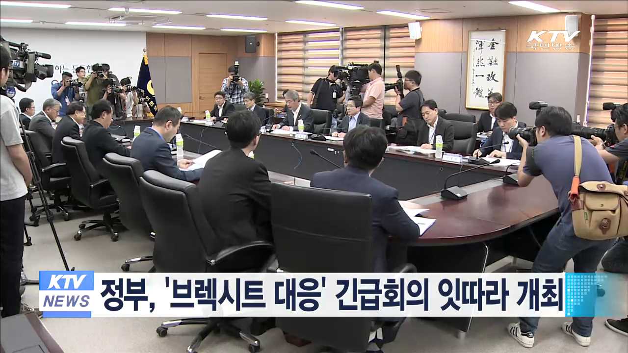 정부, '브렉시트 대응' 긴급회의 잇따라 개최