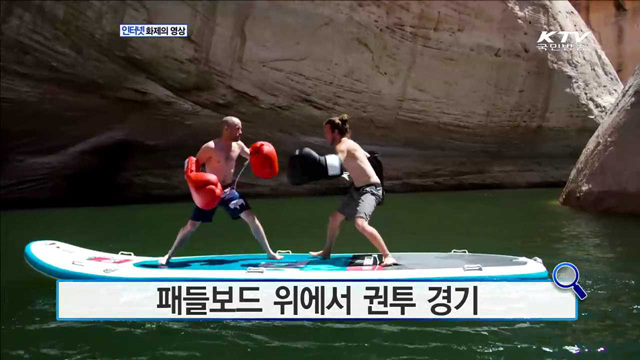 패들보드 위에서 권투 경기 [화제의 영상]