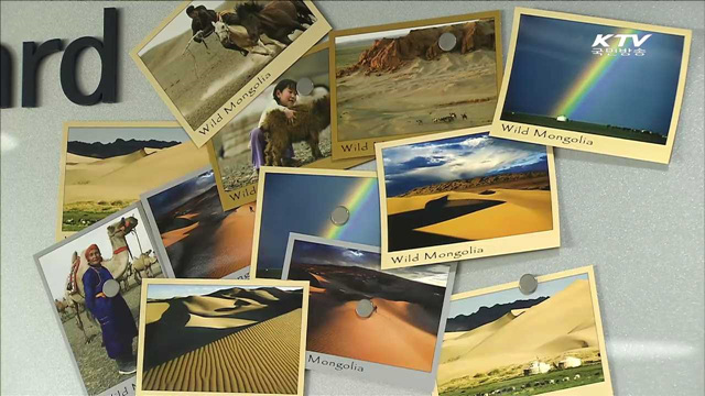 한국 속 몽골마을 '몽골타운'을 가다