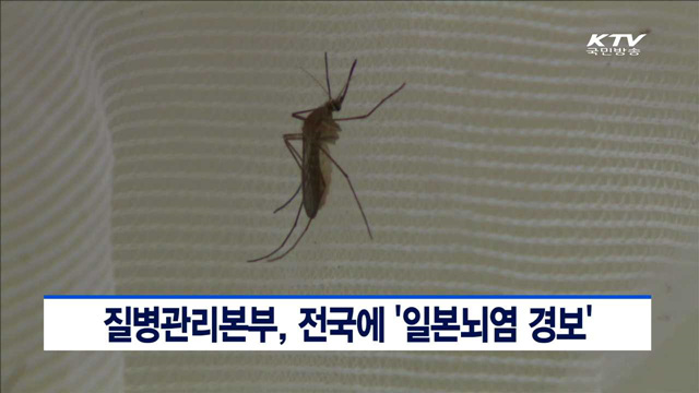 질병관리본부, 전국에 '일본뇌염 경보'