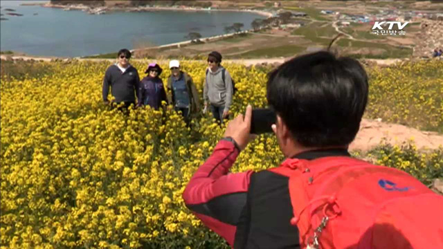 "여름 휴가철, 섬·농촌마을로 떠나세요"