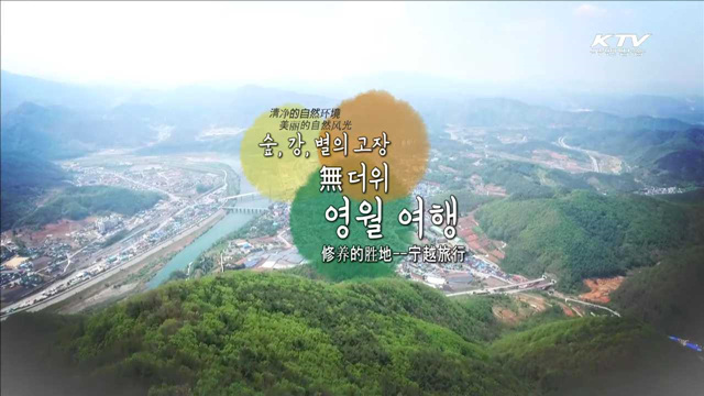 숲, 강, 별의 고장 무(無)더위 영월 여행