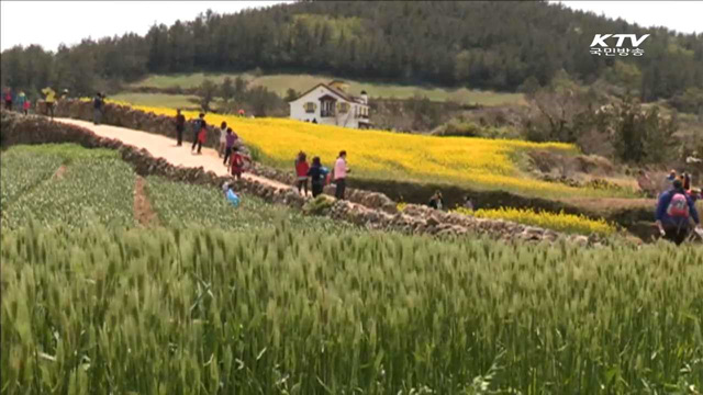 "여름 휴가철, 섬·농촌마을로 떠나세요"